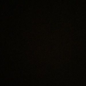 Meet your Posher, Regina